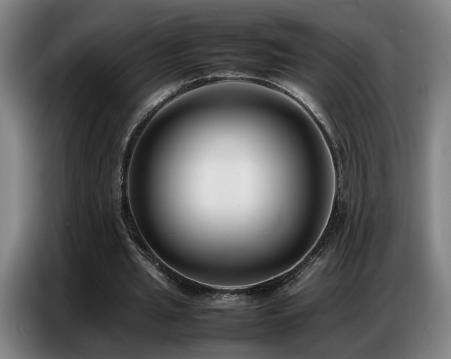 X0000087320437200704201113