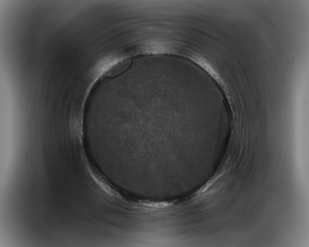 X0000087320438200704201113