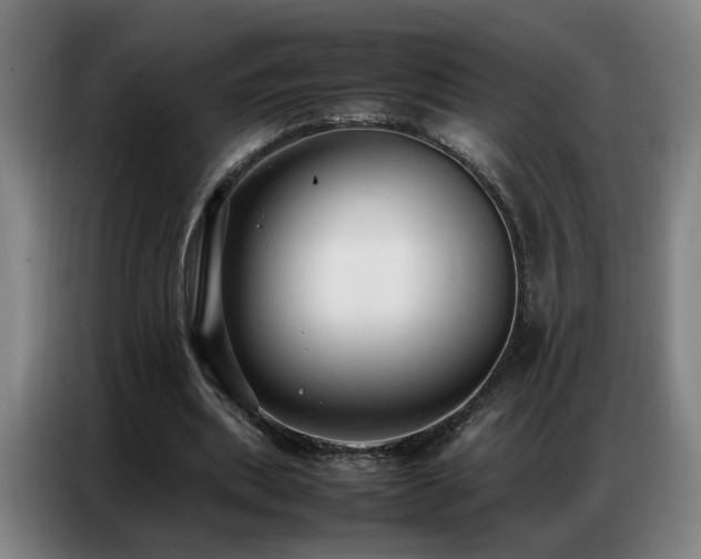 X0000087320439200704201113