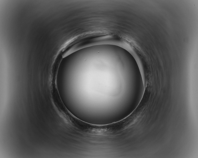 X0000087320440200704201113