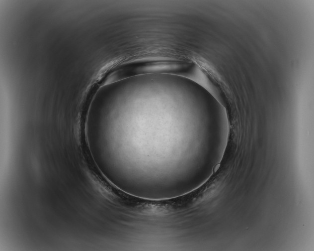 X0000087320442200704201113