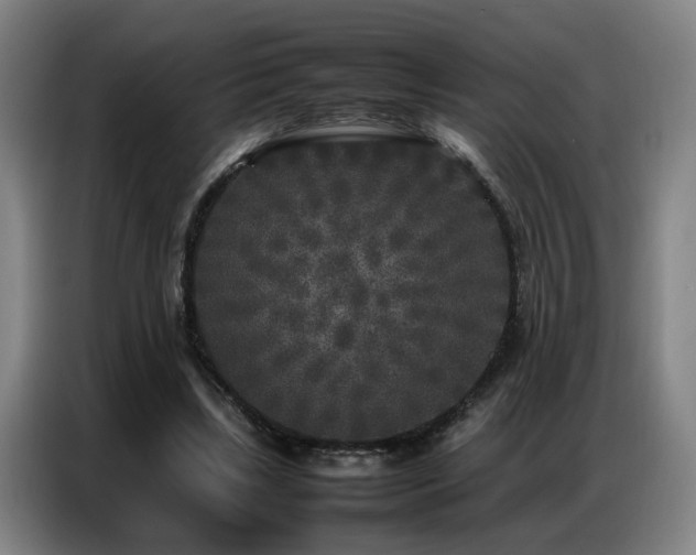 X0000087320443200704201113