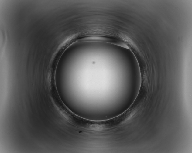 X0000087320444200704201113