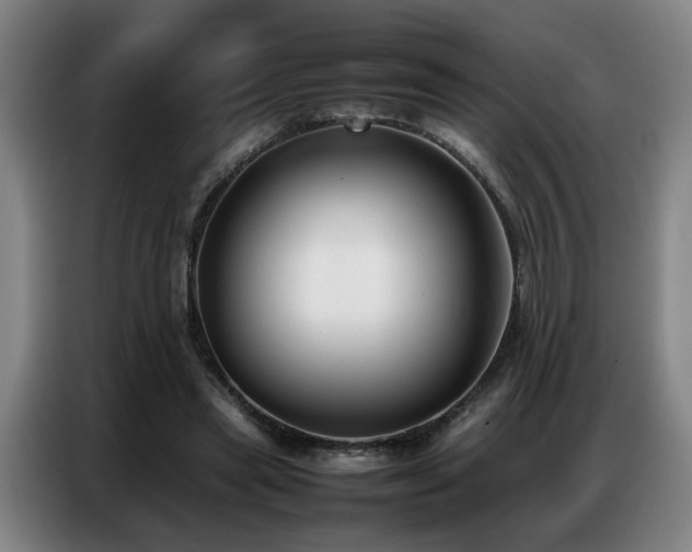 X0000087320445200704201113