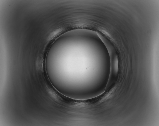 X0000087320446200704201113