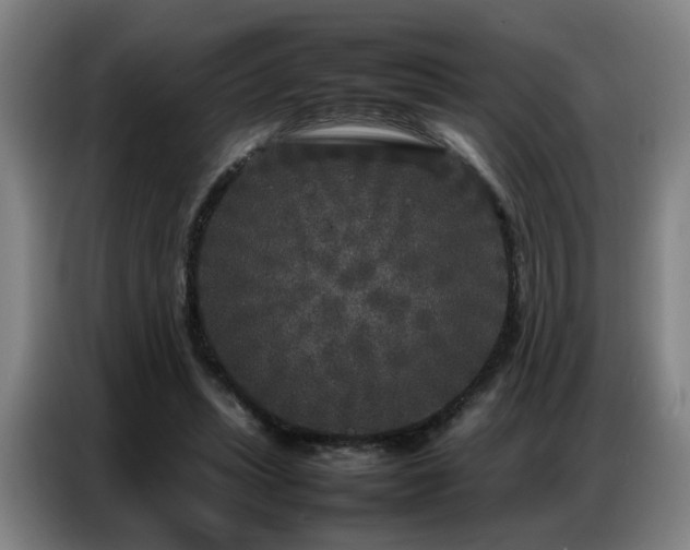 X0000087320447200704201113