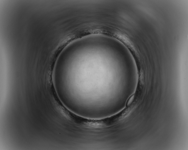 X0000087320449200704201113