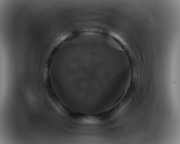 X0000087320451200704201113