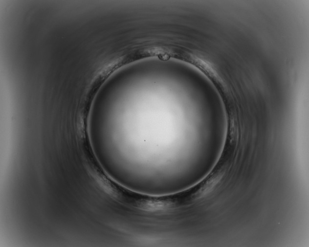 X0000087320453200704201113