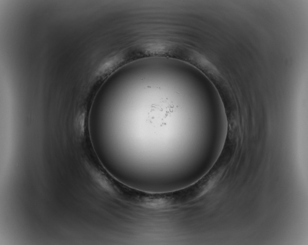 X0000087320454200704201113