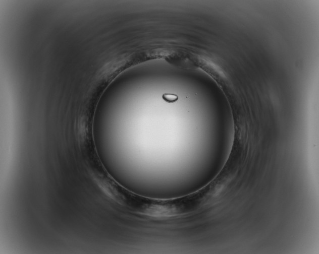 X0000087320455200704201113