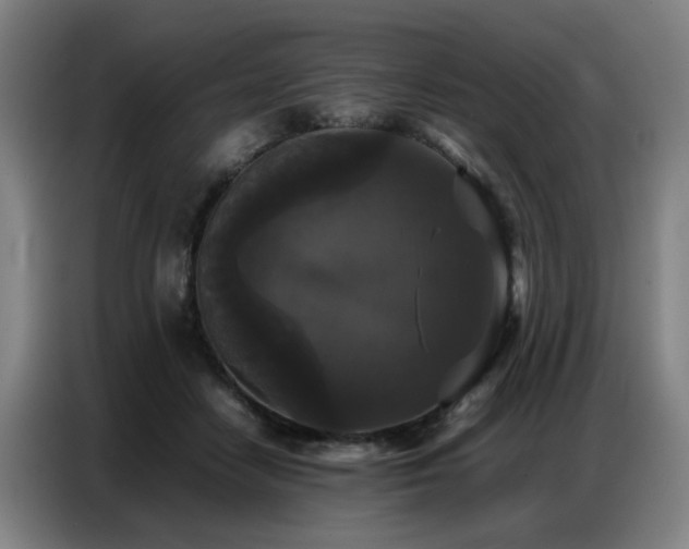 X0000087320458200704201113