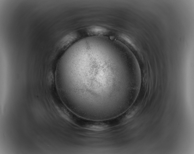 X0000087320459200704201113