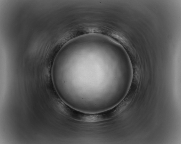 X0000087320461200704201113