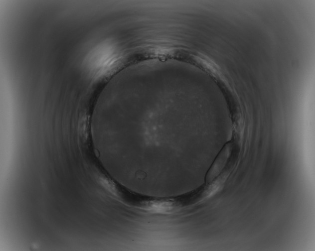 X0000087320462200704201113