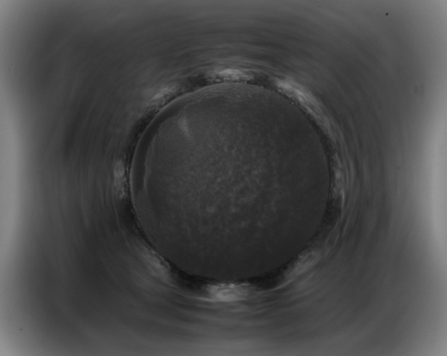 X0000087320465200704201113