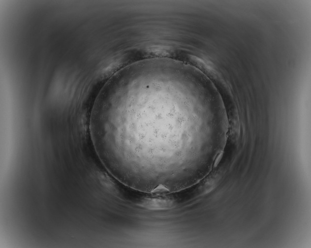 X0000087320466200704201113