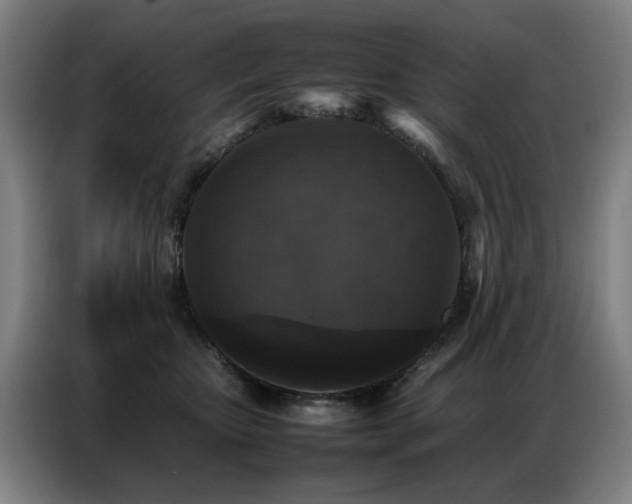 X0000087320467200704201113