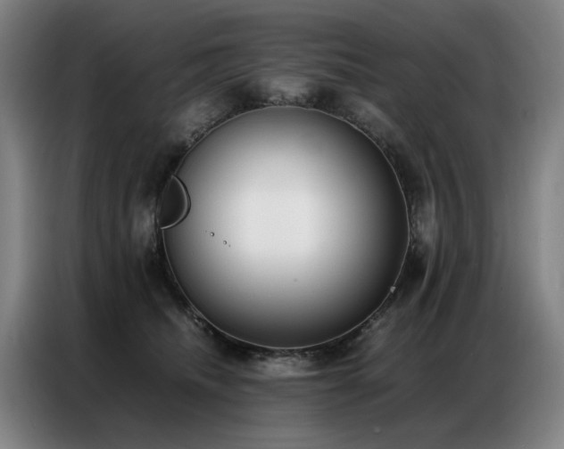 X0000087320468200704201113