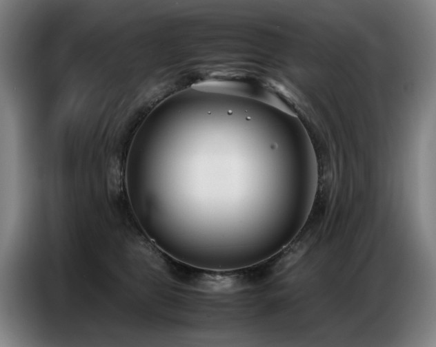 X0000087320469200704201113