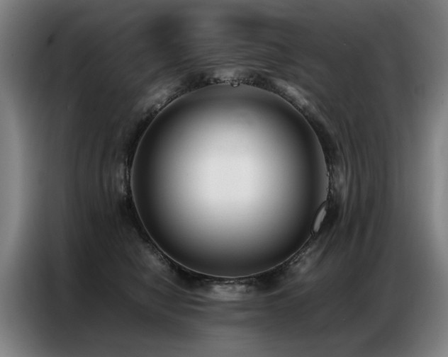 X0000087320470200704201113