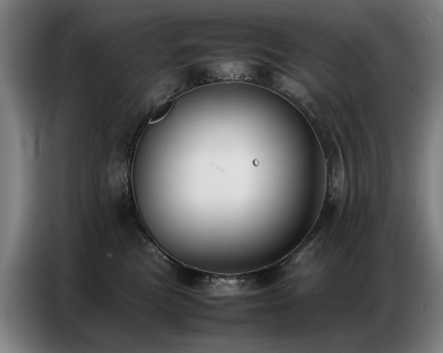 X0000087320473200704201113