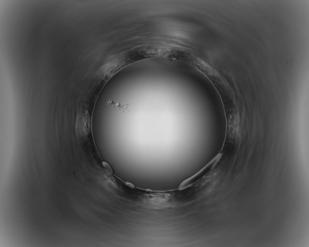 X0000087320474200704201113