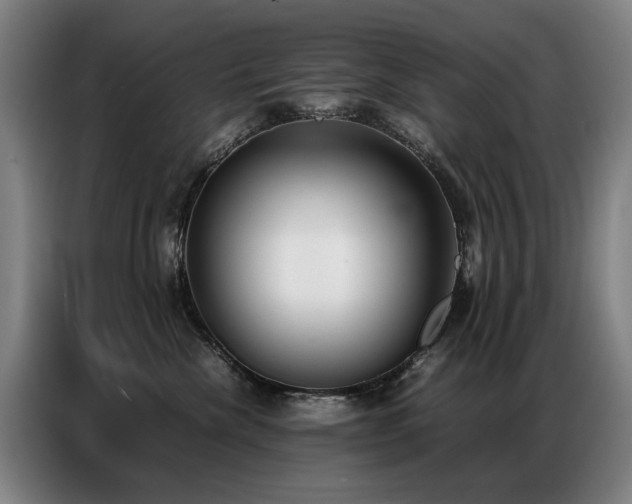 X0000087320476200704201113