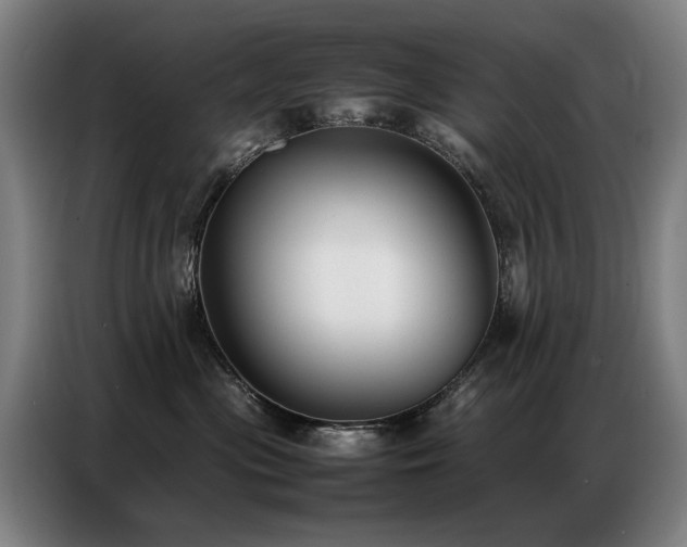 X0000087320477200704201113