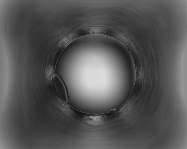 X0000087320478200704201113