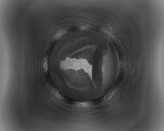 X0000087320479200704201113