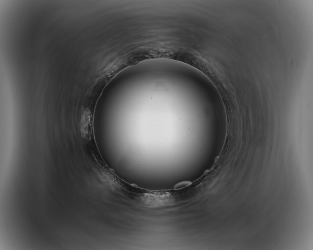 X0000087320480200704201113