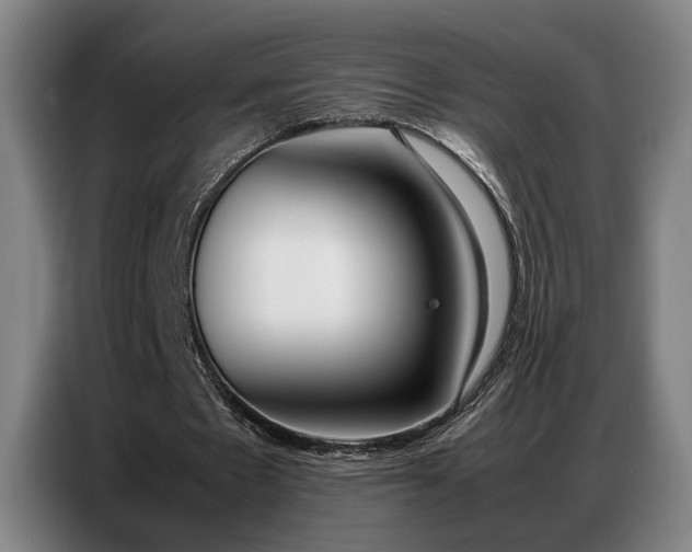X0000087320481200704201113