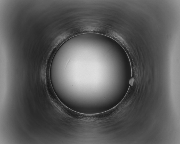 X0000087320482200704201113