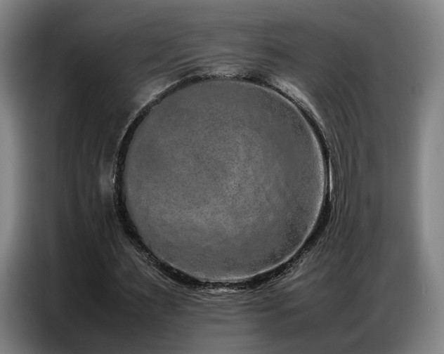 X0000087320483200704201113