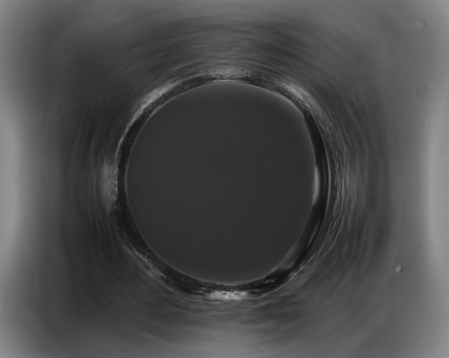 X0000087320484200704201113