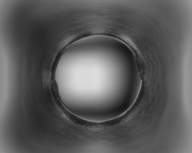 X0000087320485200704201113