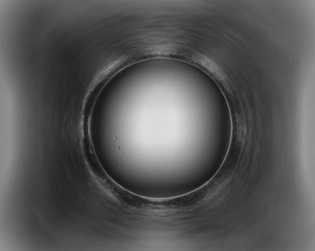 X0000087320486200704201113