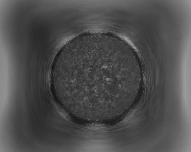 X0000087320487200704201113
