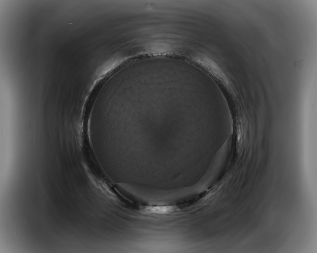 X0000087320488200704201113