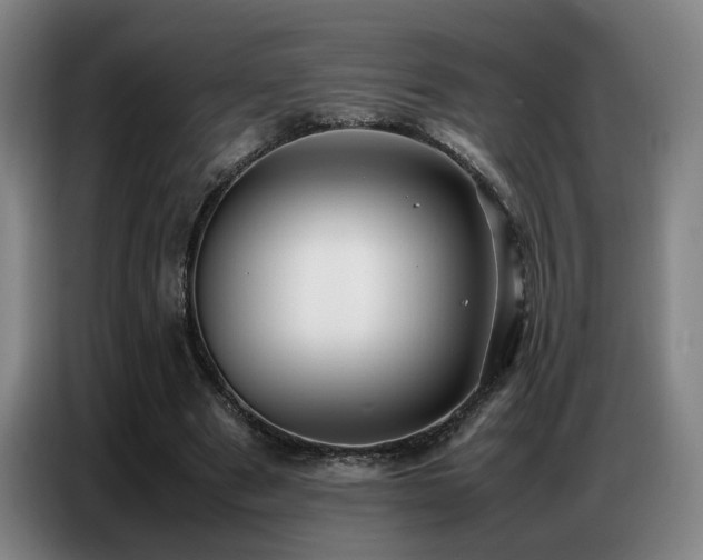 X0000087320489200704201113