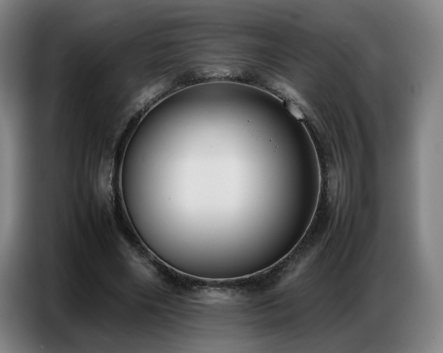 X0000087320490200704201113