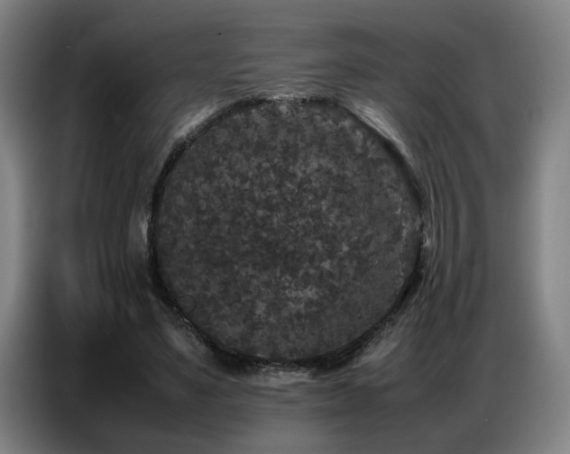 X0000087320491200704201113