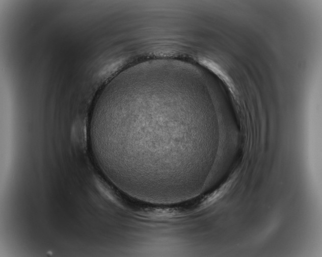 X0000087320493200704201113