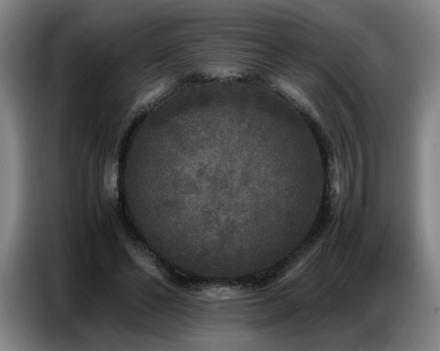X0000087320494200704201113