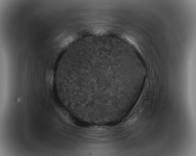 X0000087320495200704201113