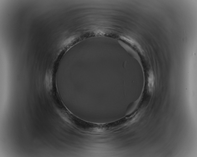X0000087320496200704201113