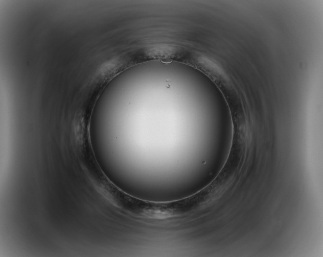 X0000087320498200704201113