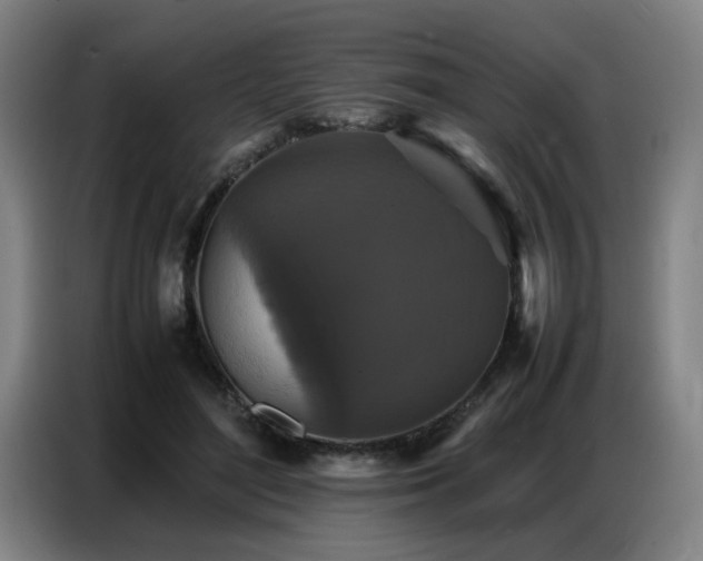X0000087320500200704201113
