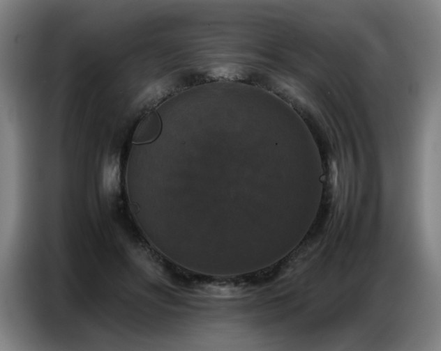 X0000087320502200704201113